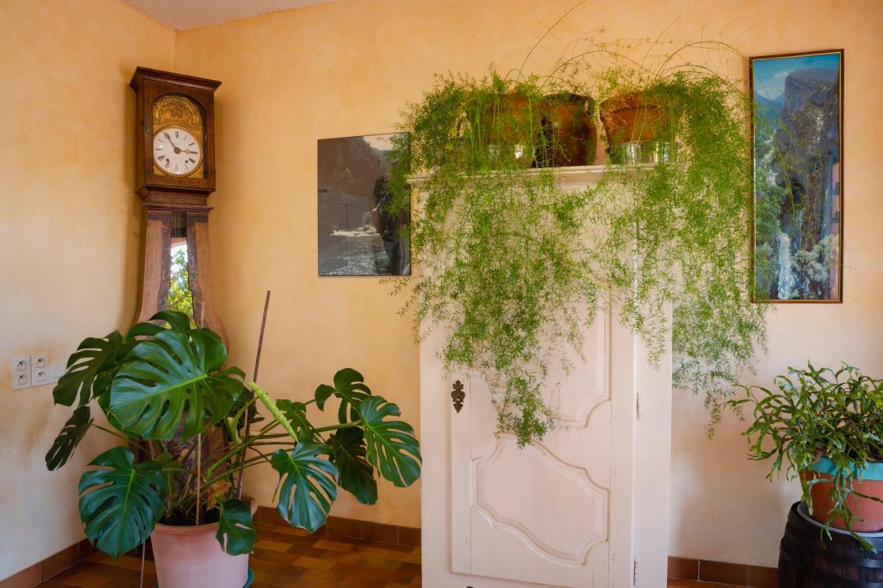 Hotel Sainte Anne "Le Verdon" Les Salles-sur-Verdon Dış mekan fotoğraf