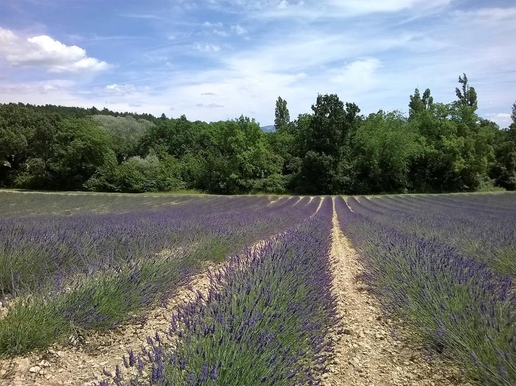 Hotel Sainte Anne "Le Verdon" Les Salles-sur-Verdon Dış mekan fotoğraf